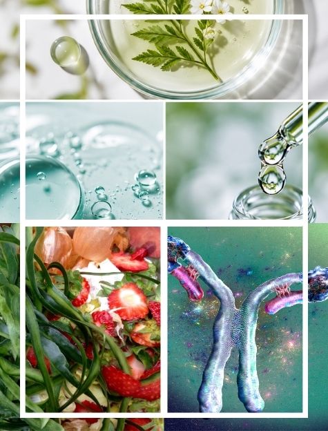 Spark Quimica Preservantes y biocidas industriales